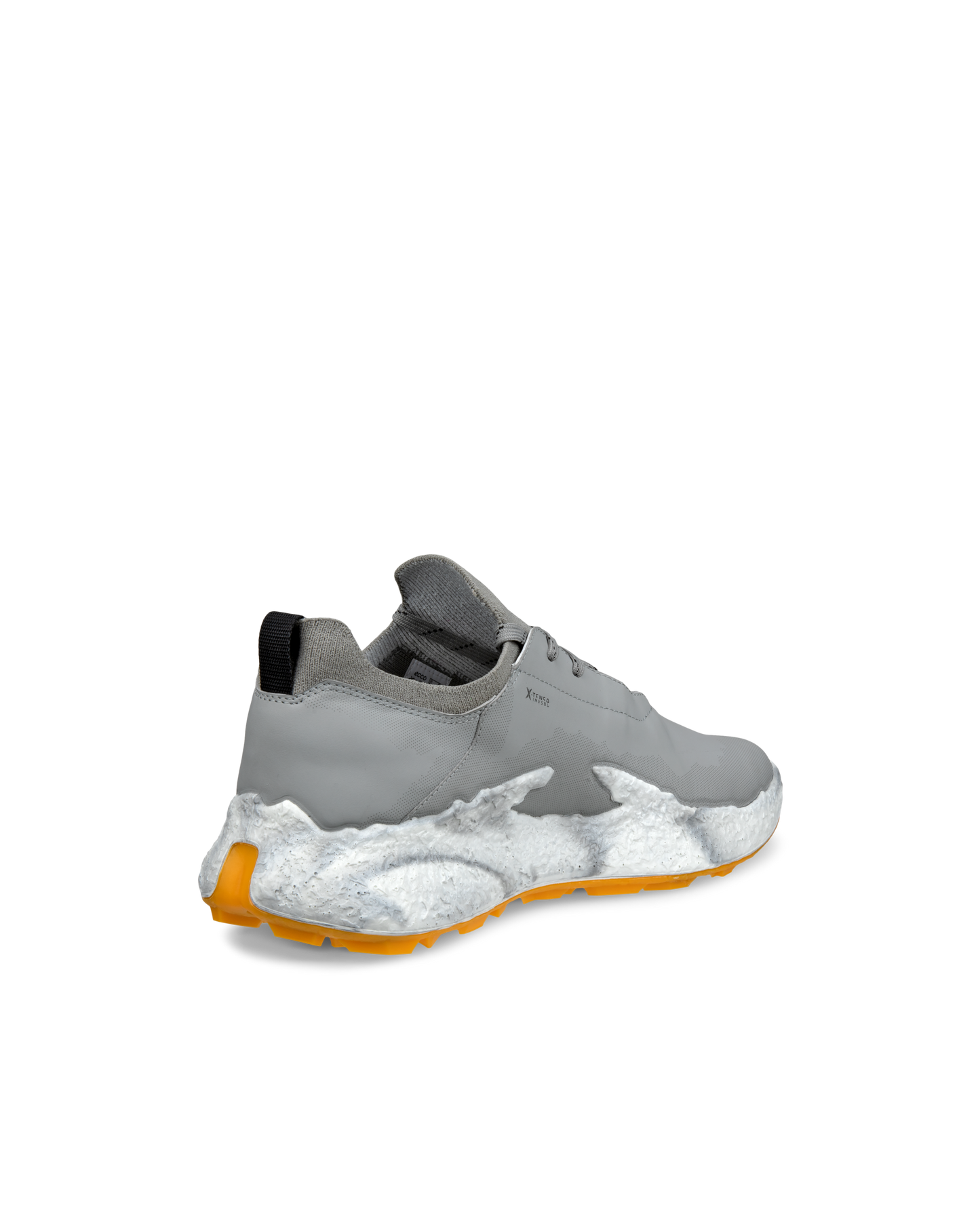 ECCO GOLF BIOM H5
