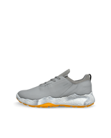 GRIS