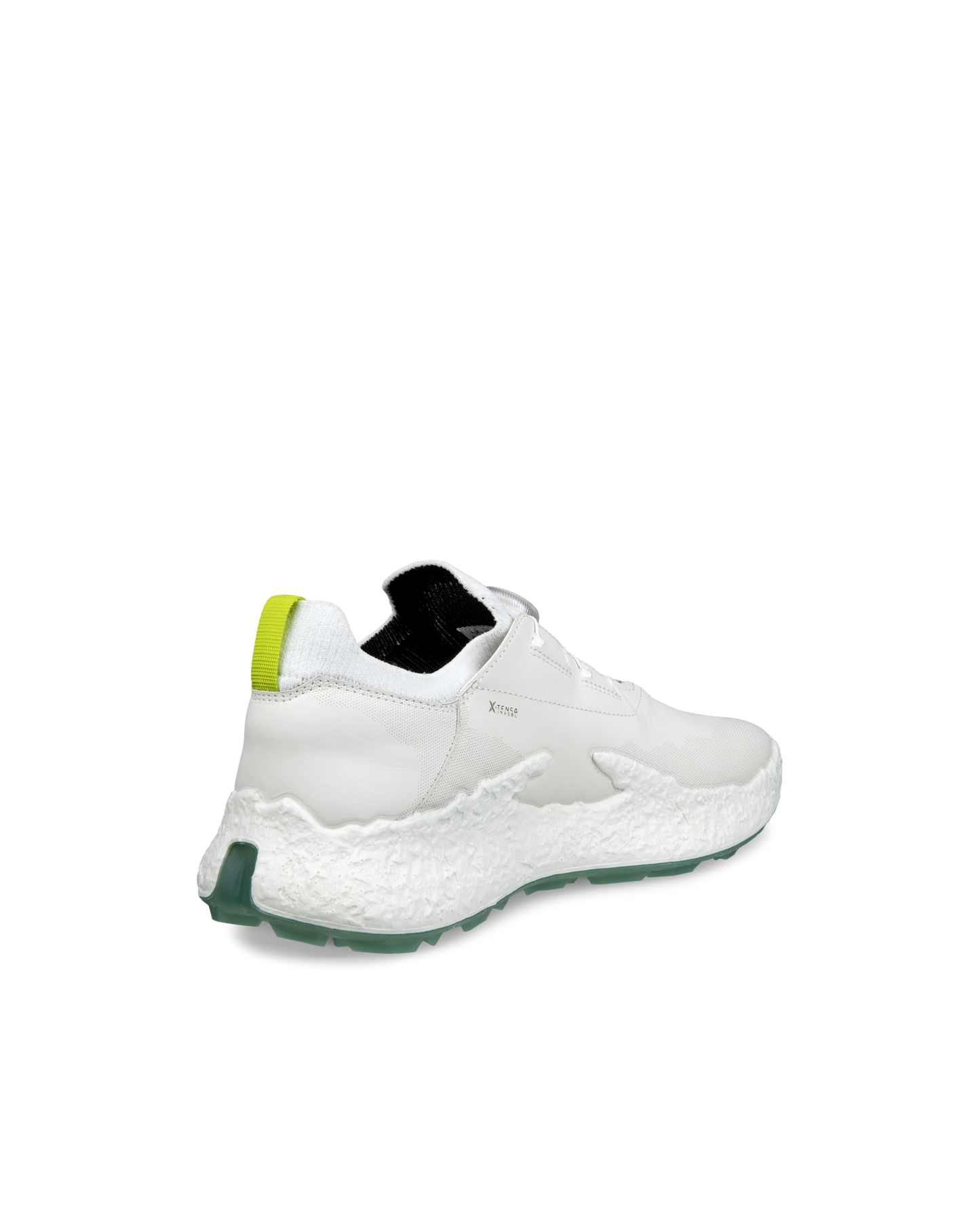 ECCO GOLF BIOM H5