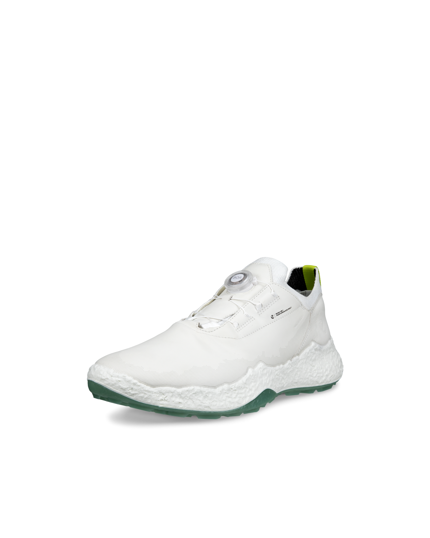 ECCO GOLF BIOM H5