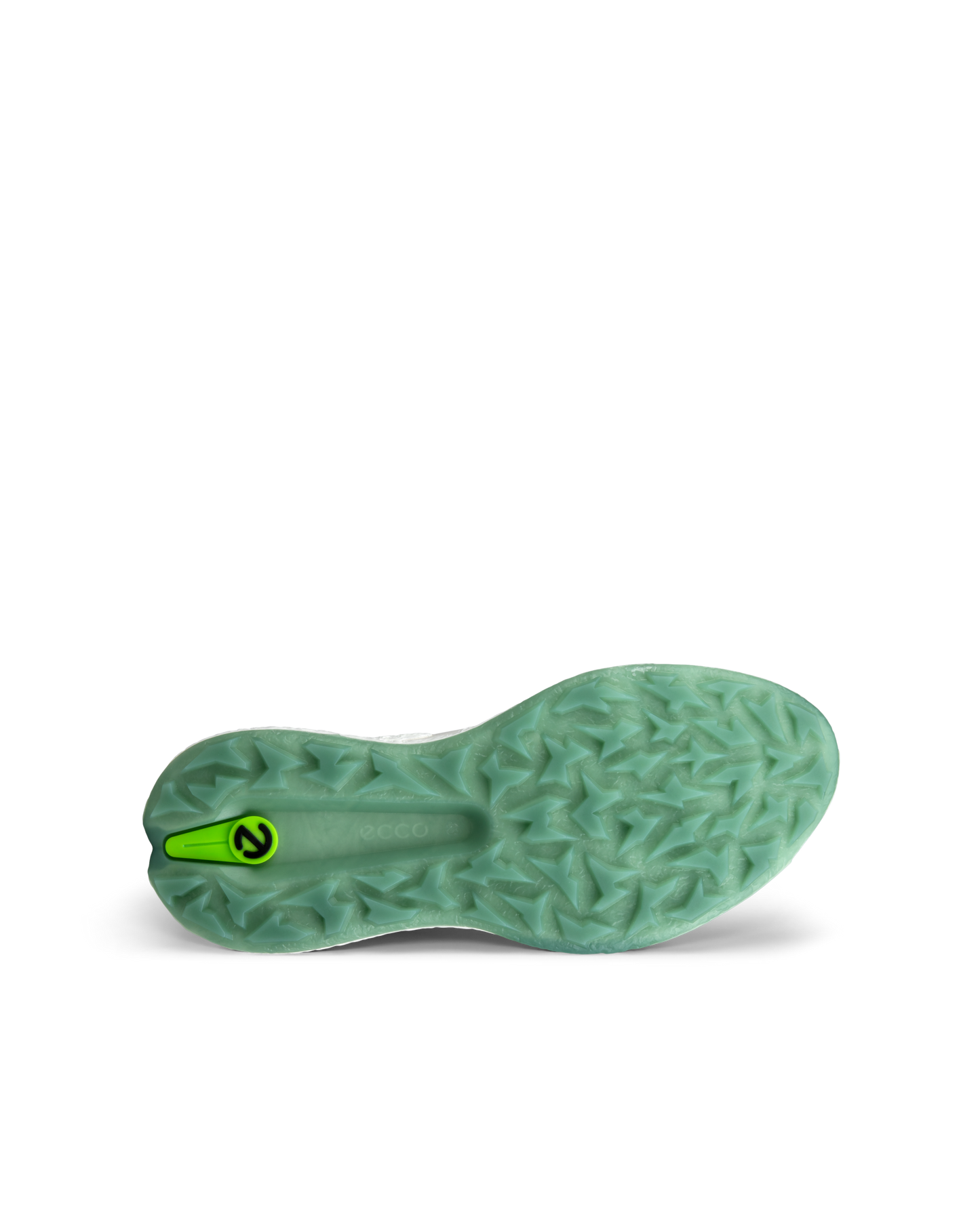 ECCO GOLF BIOM H5