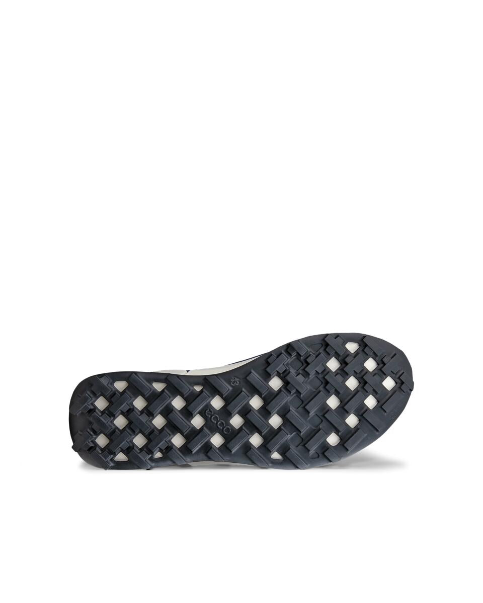 ECCO BIOM 2.1