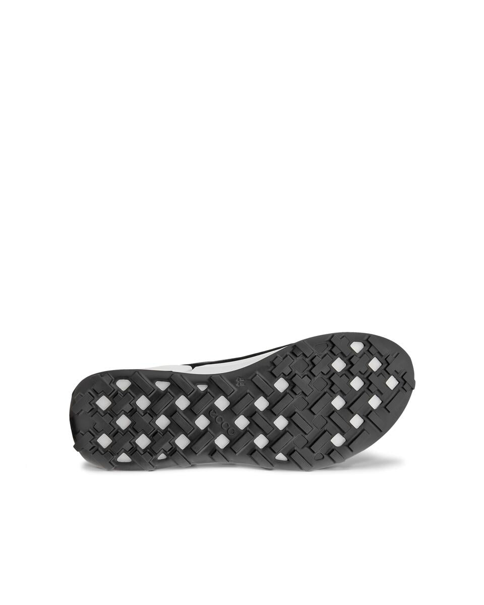ECCO BIOM 2.1