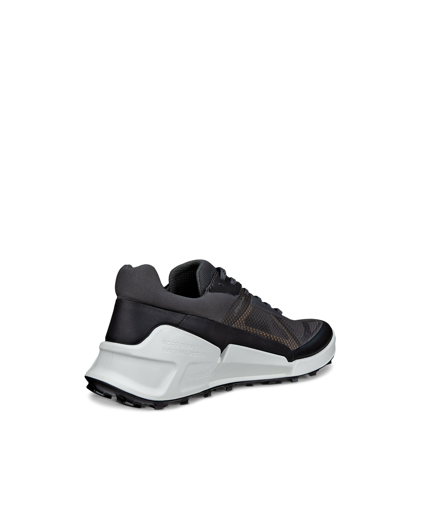 ECCO BIOM 2.1