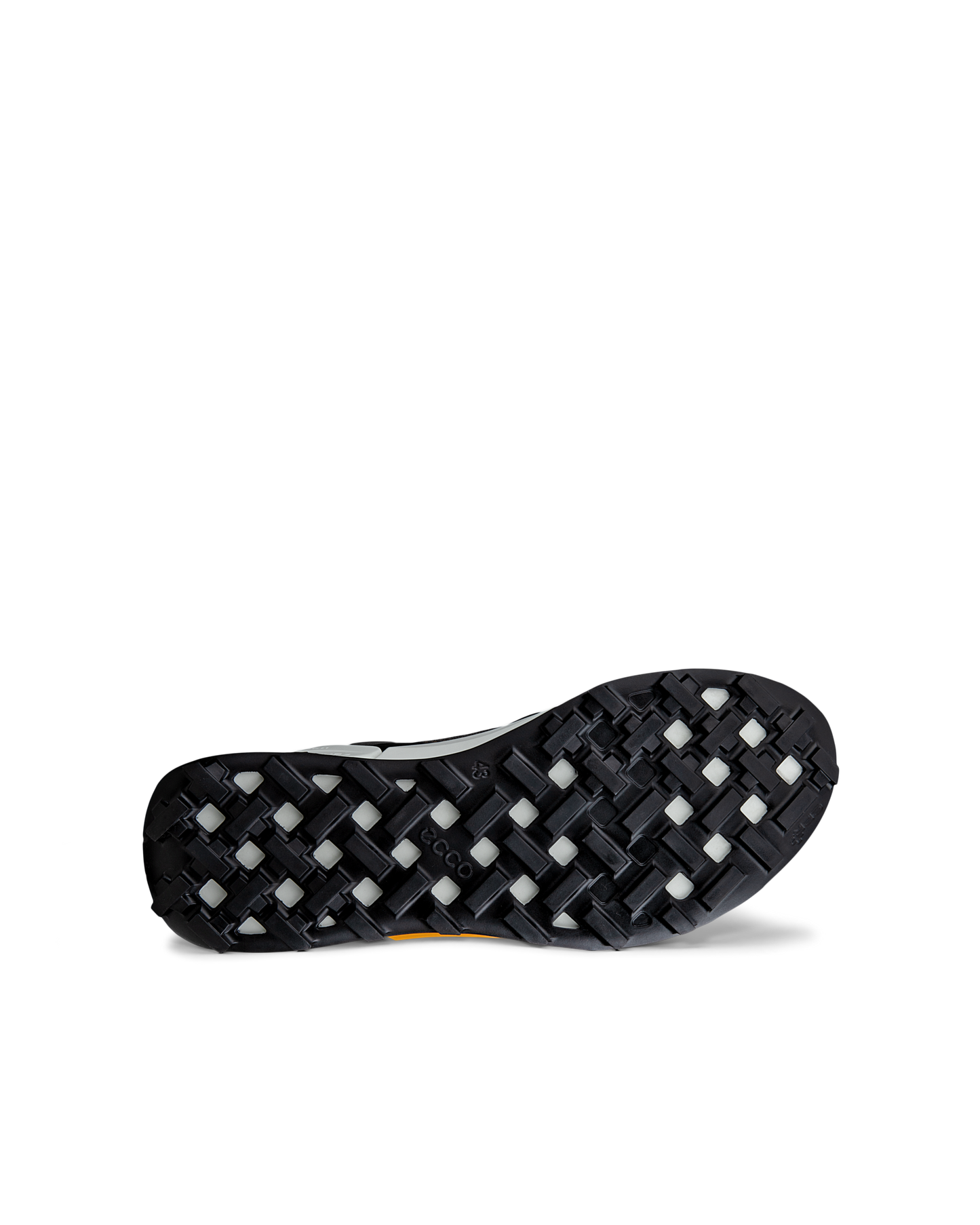 ECCO BIOM 2.1