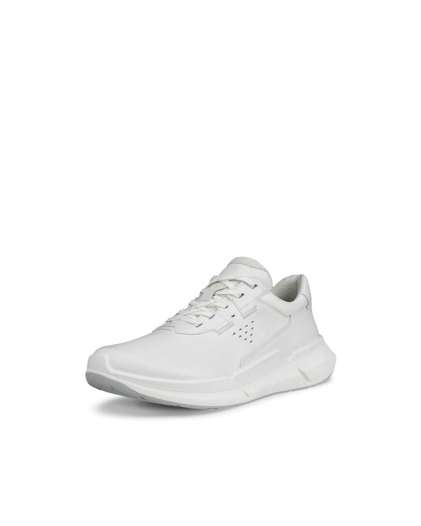 ECCO BIOM 2.2