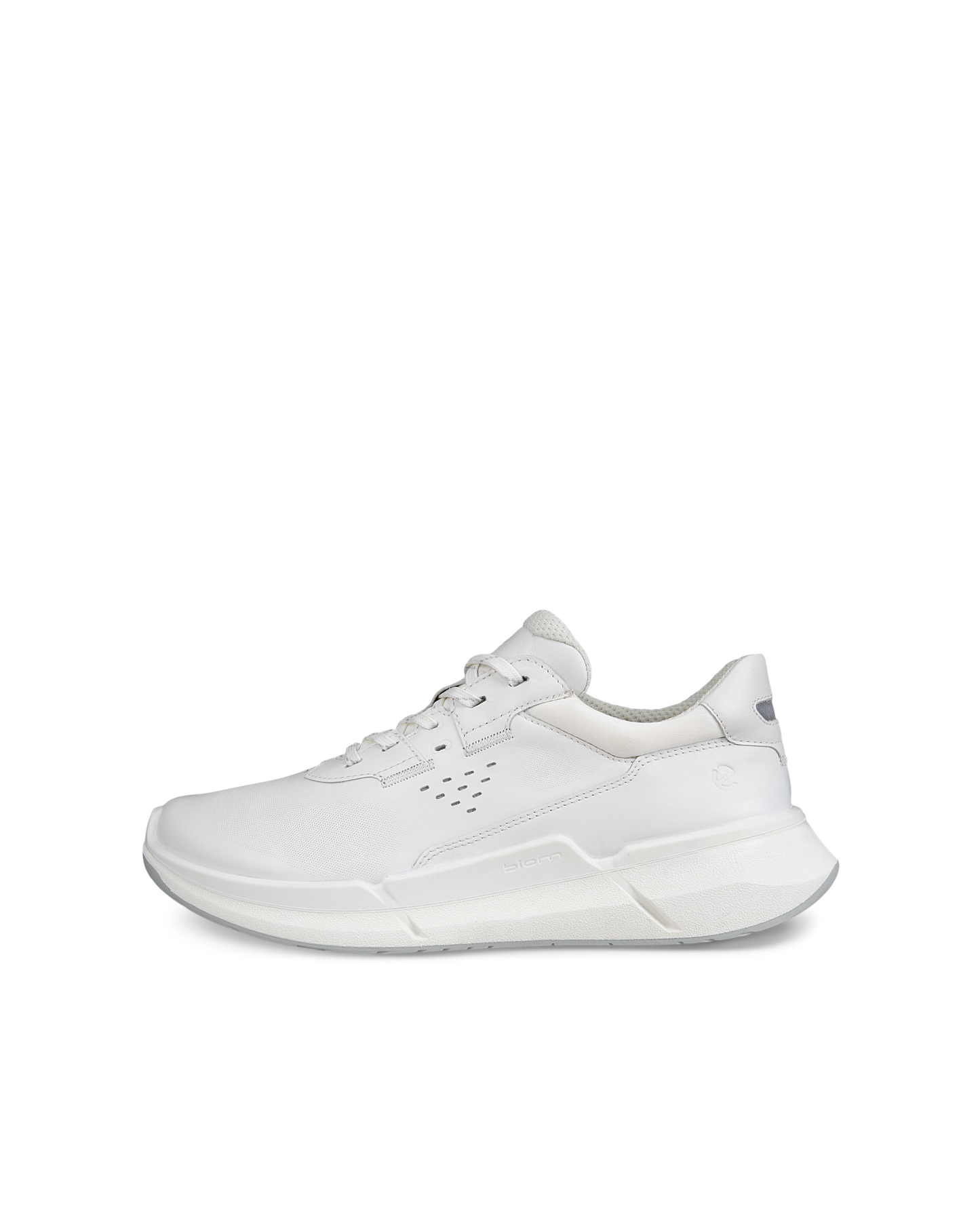 ECCO BIOM 2.2