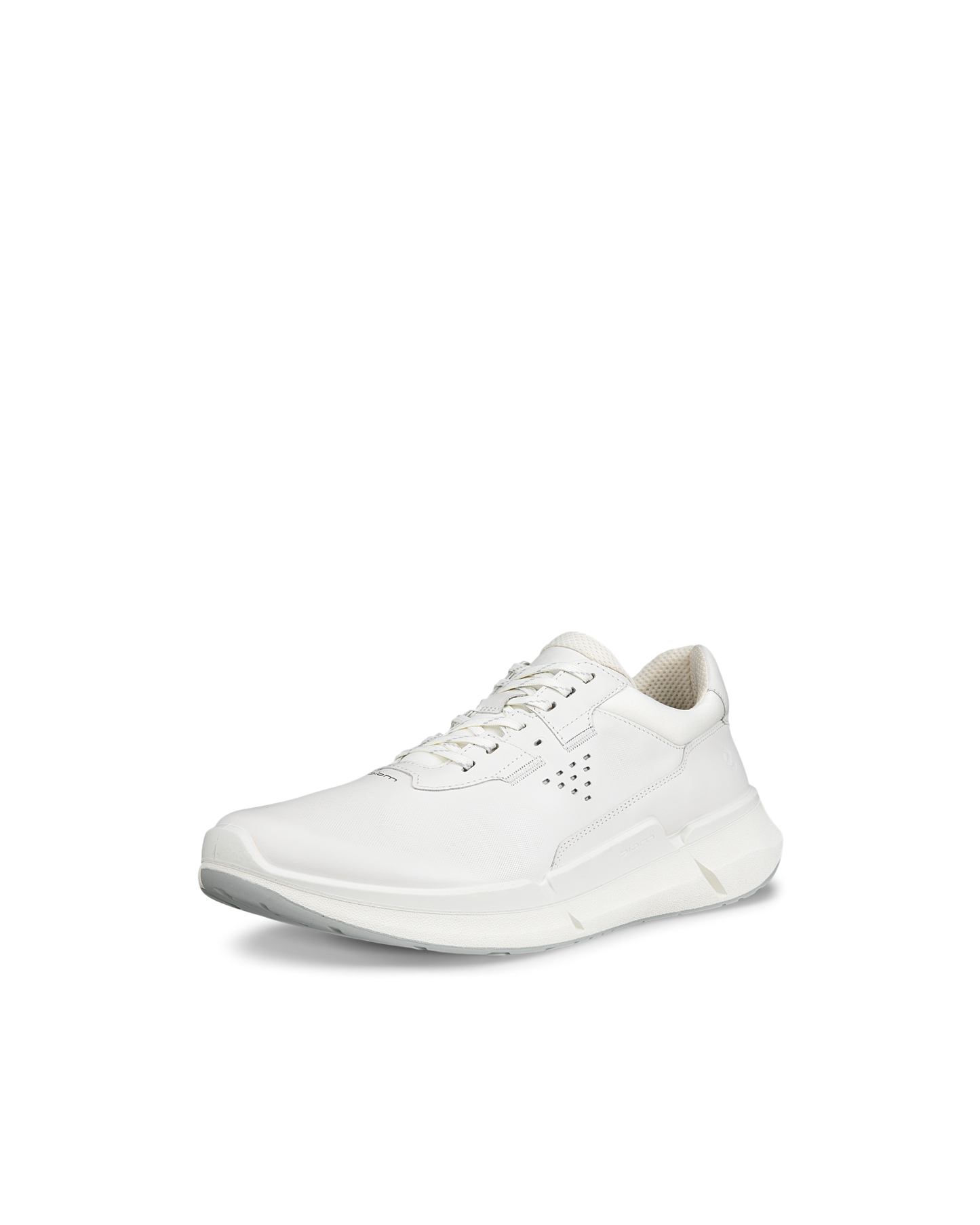 ECCO BIOM 2.2