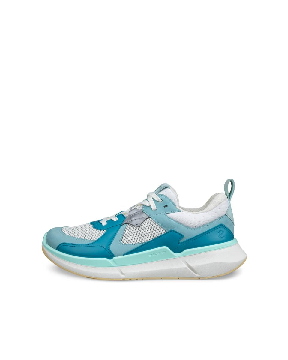 ECCO BIOM 2.2