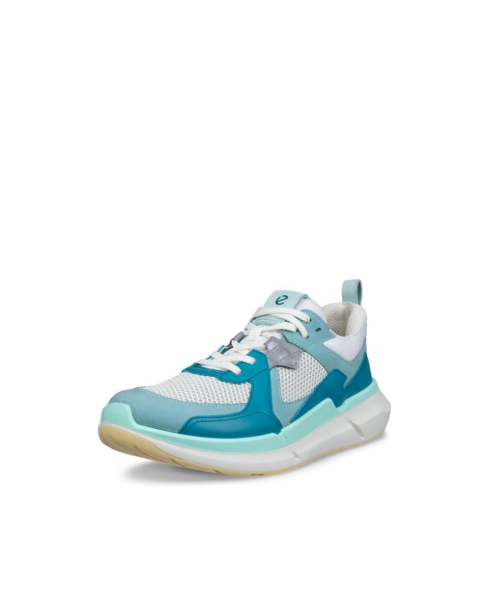 ECCO BIOM 2.2