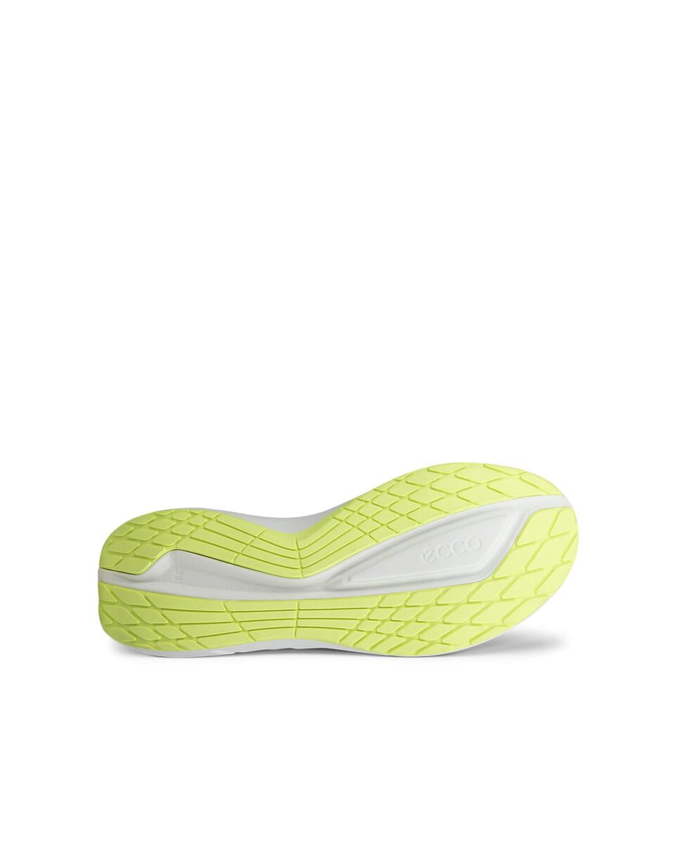 ECCO BIOM 2.2