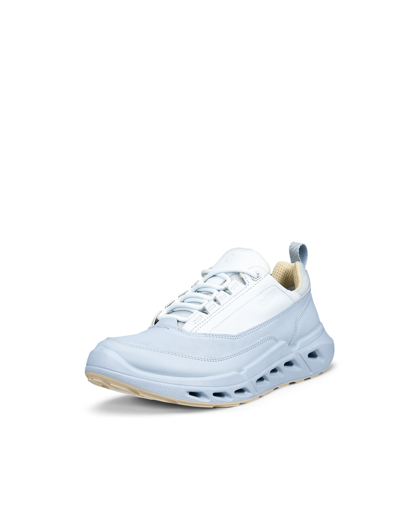 ECCO BIOM 720