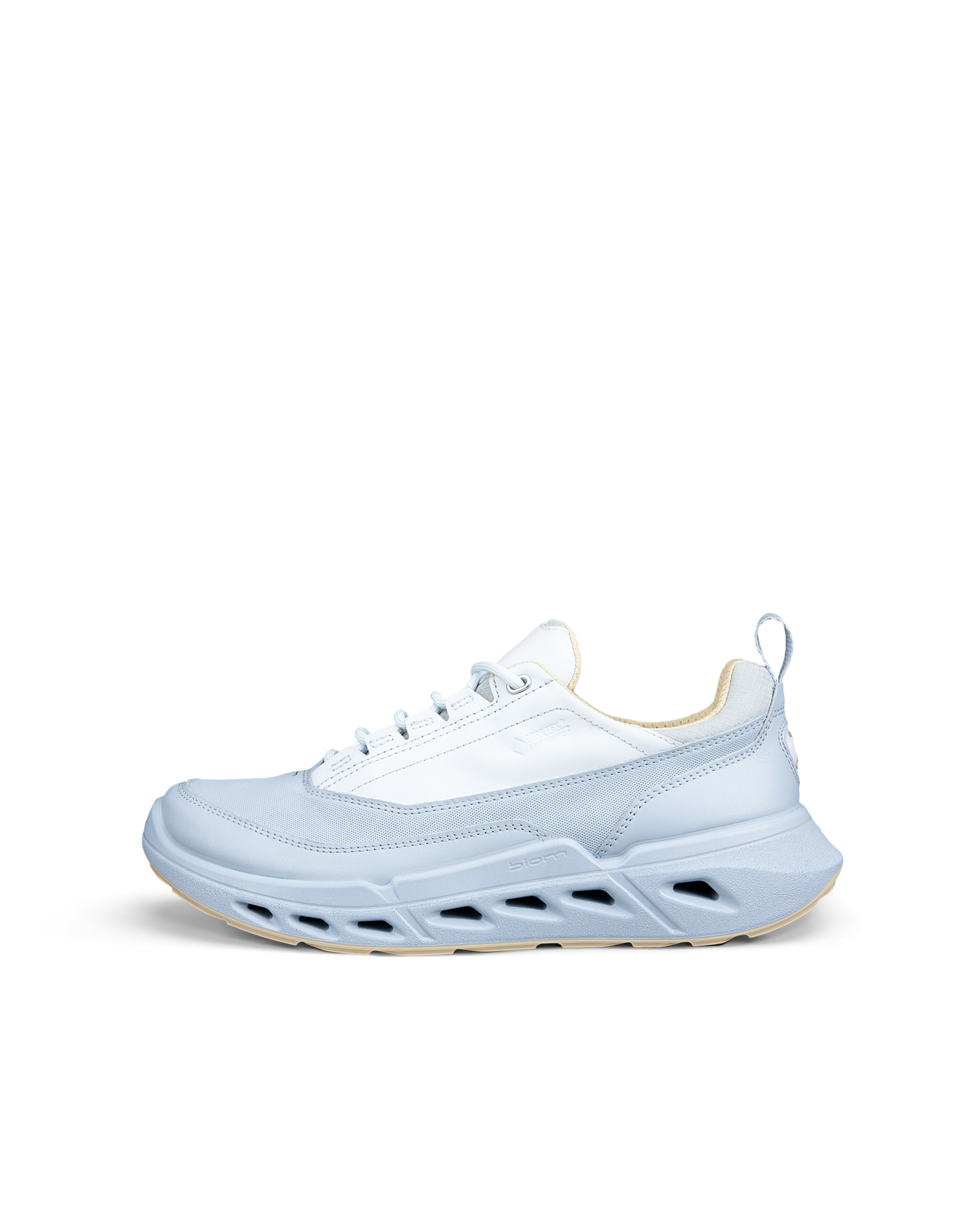 ECCO BIOM 720