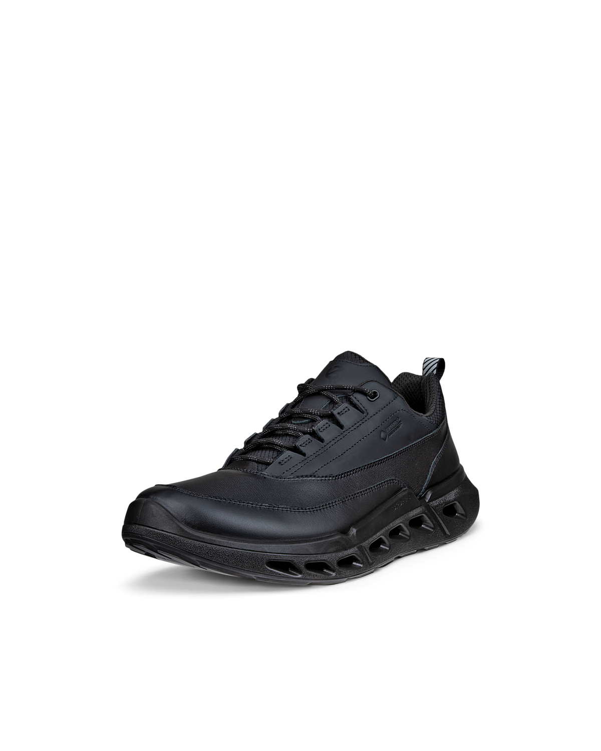 ECCO BIOM 720