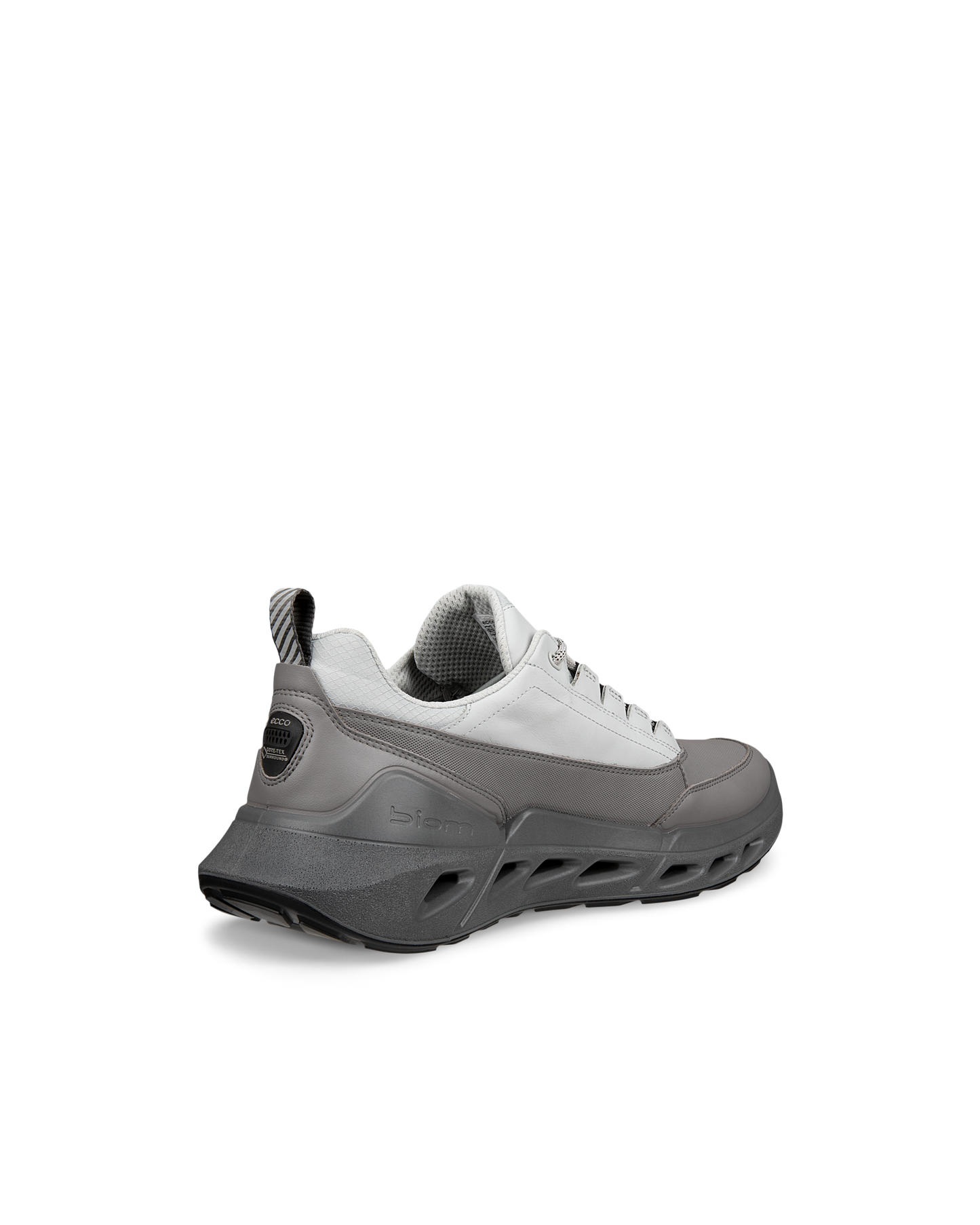 ECCO BIOM 720