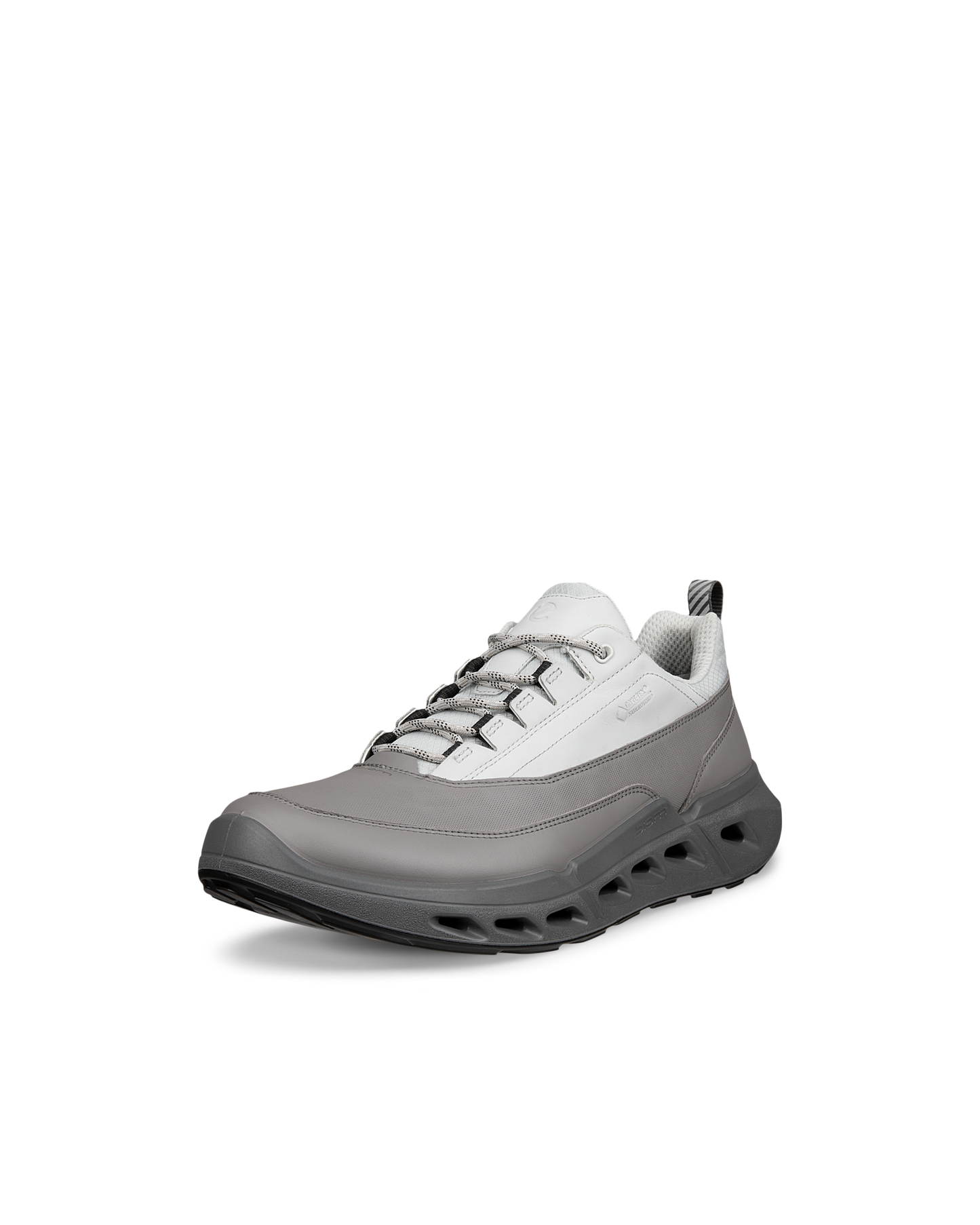 ECCO BIOM 720