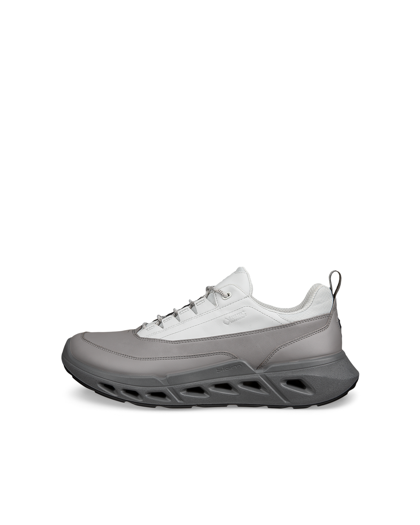 ECCO BIOM 720