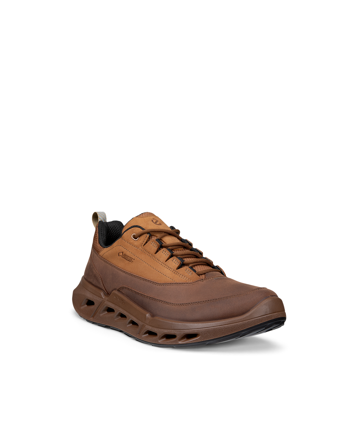 ECCO BIOM 720