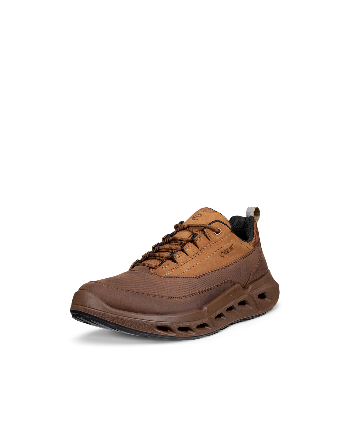ECCO BIOM 720