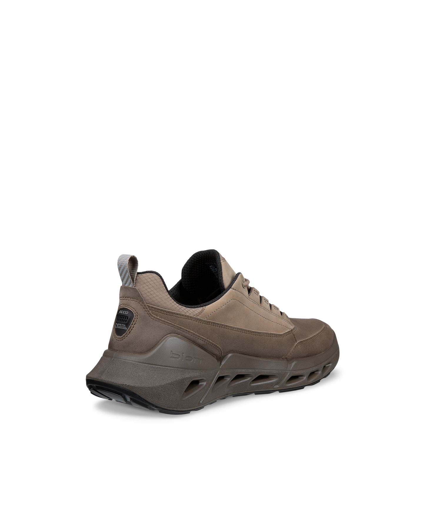 ECCO BIOM 720