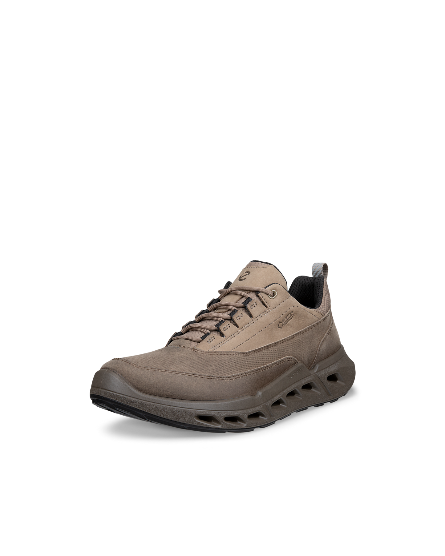 ECCO BIOM 720