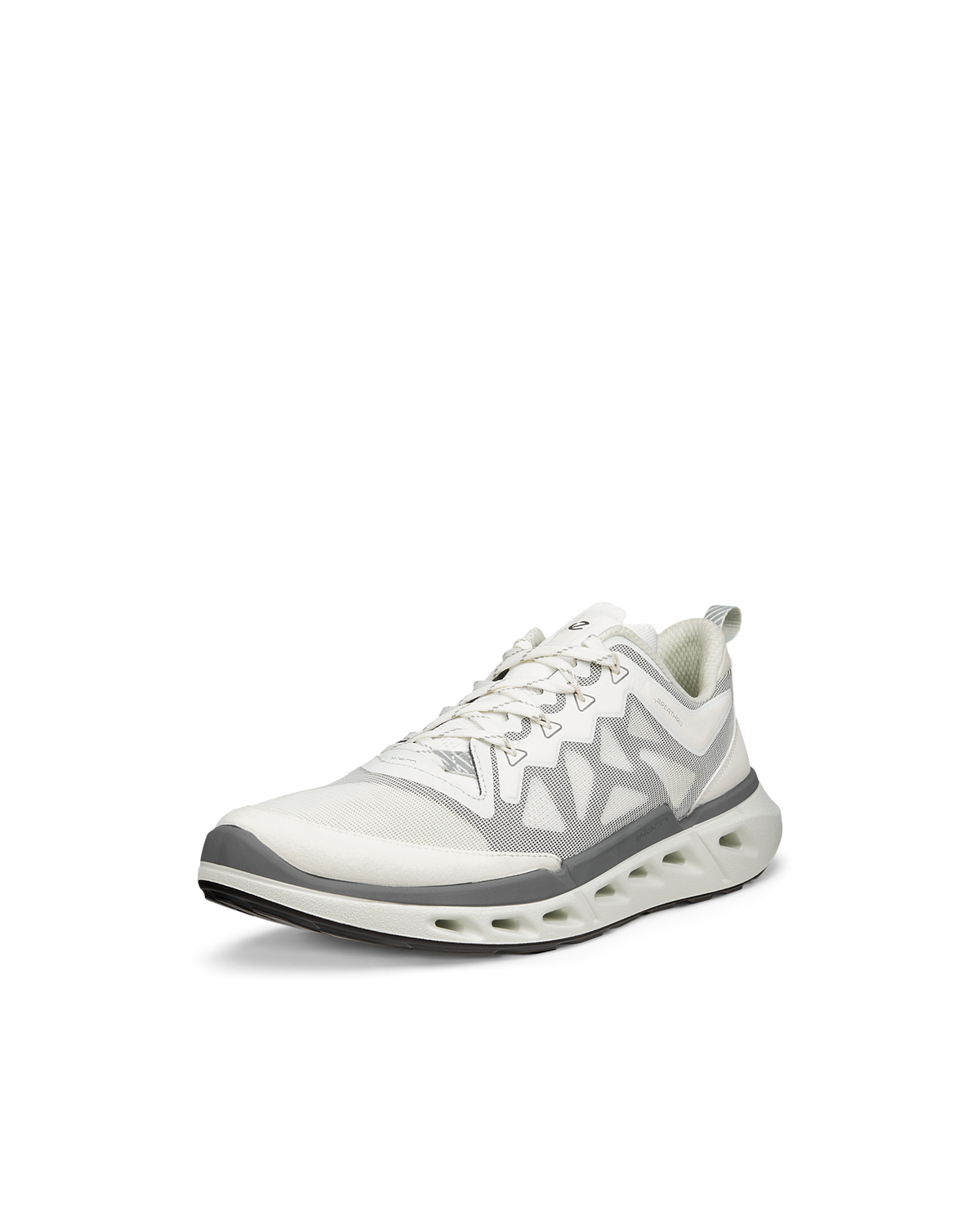 ECCO BIOM 720
