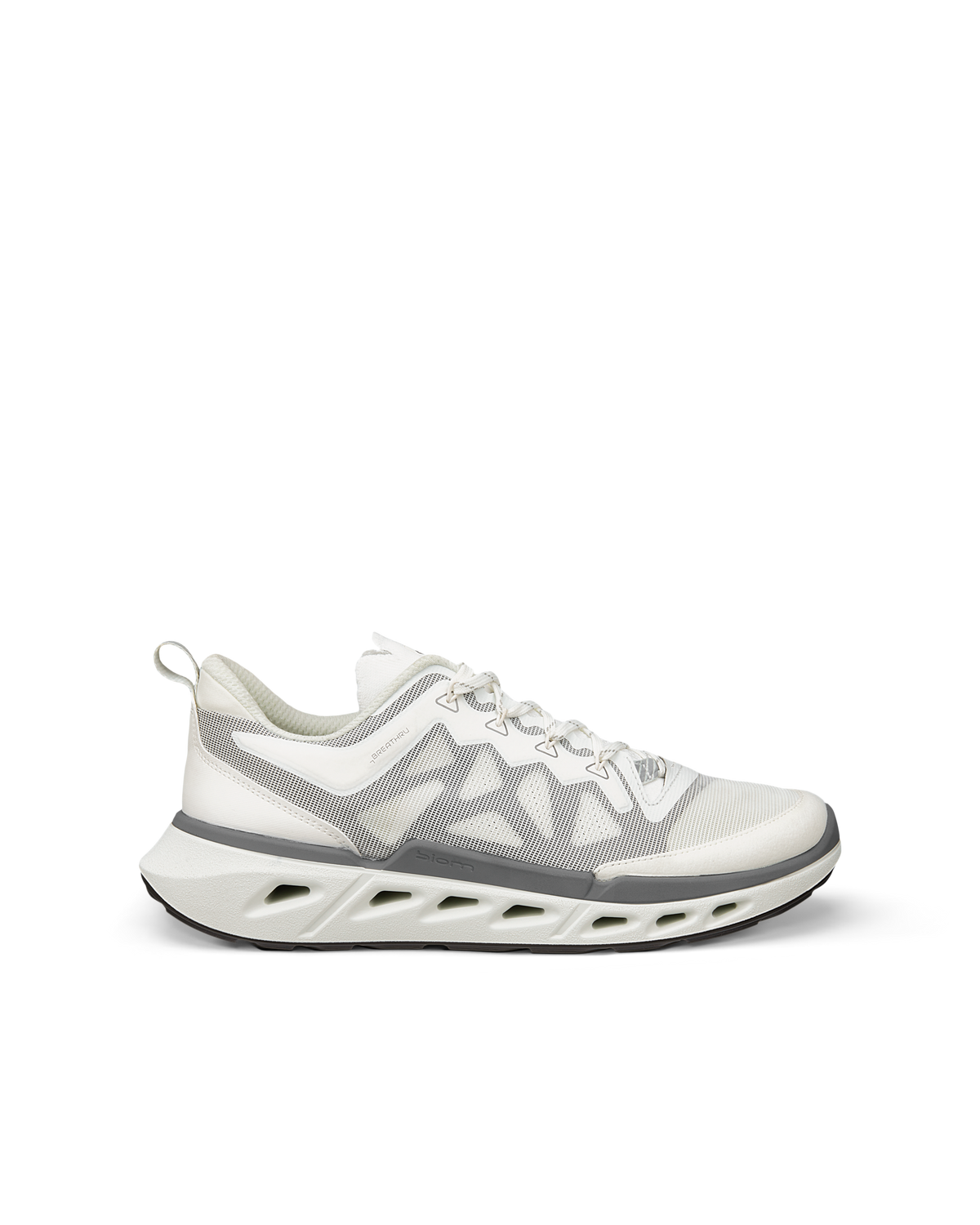 ECCO BIOM 720