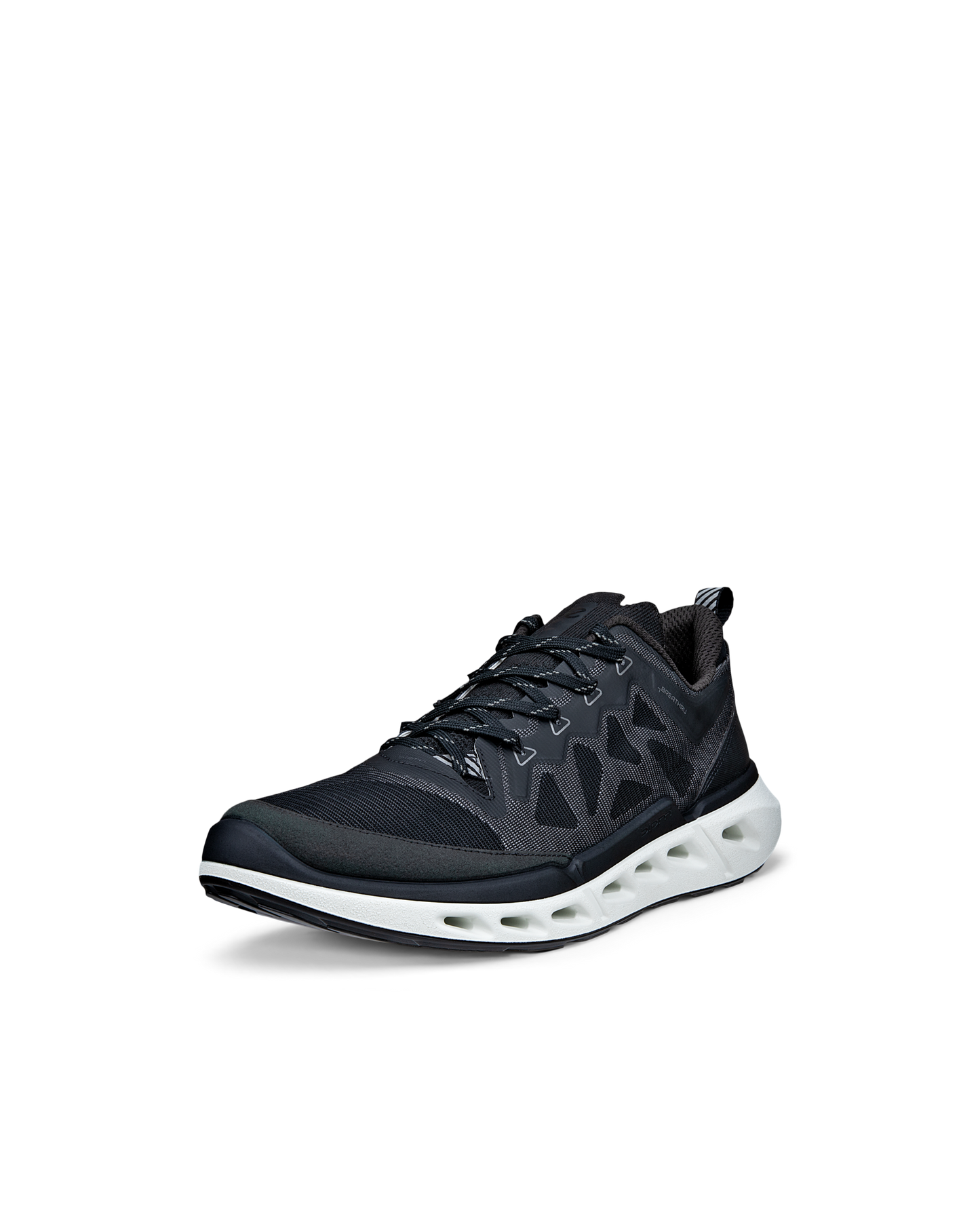 ECCO BIOM 720