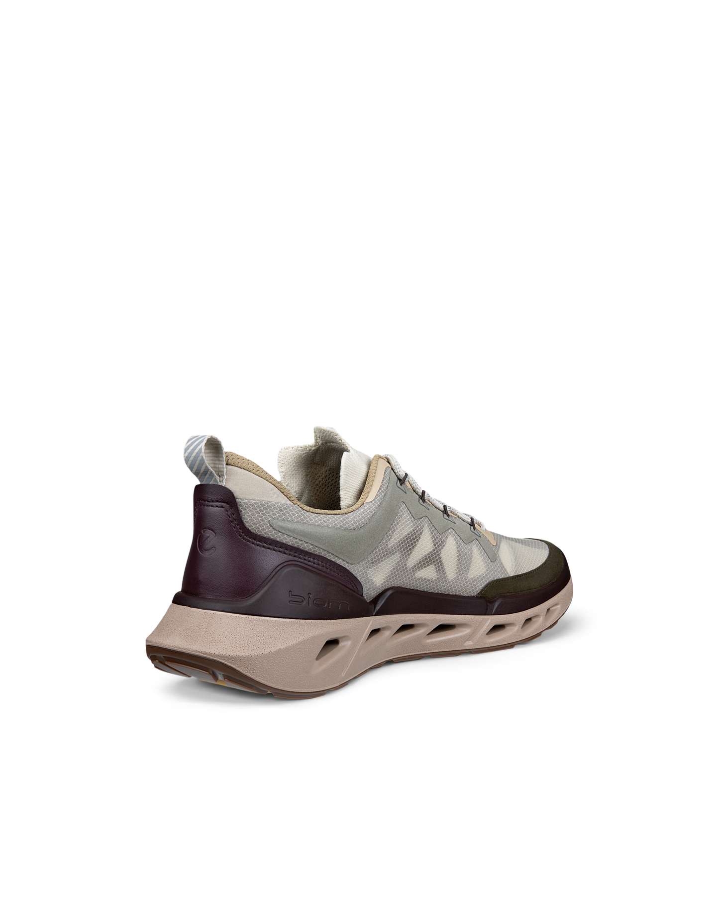 ECCO BIOM 720