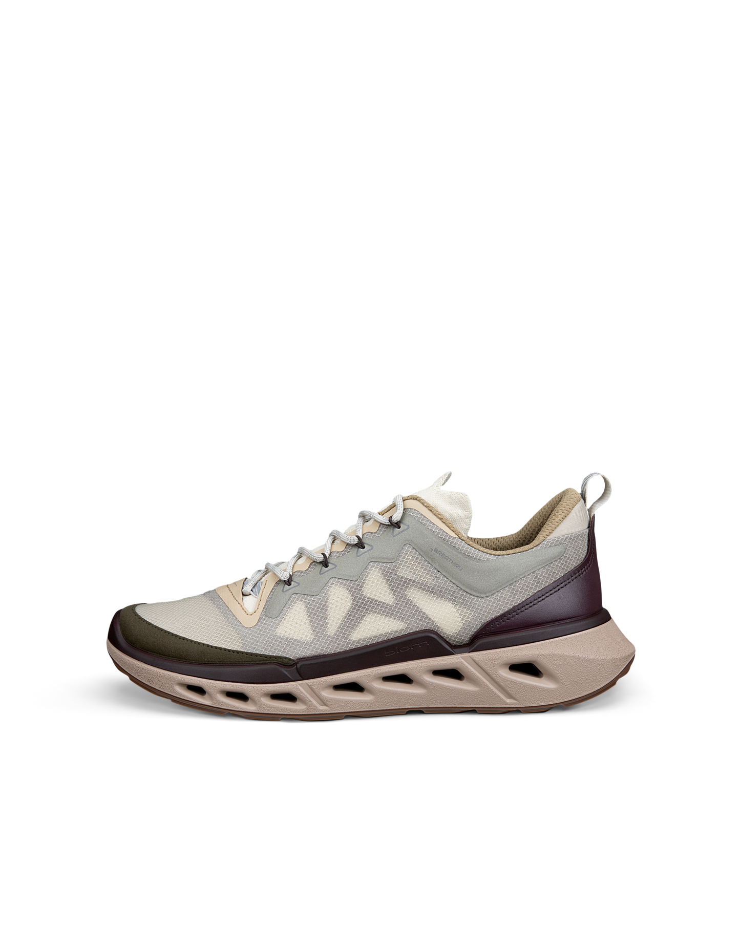 ECCO BIOM 720