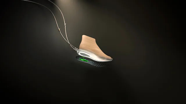 Image ECCO TRAYTECH™